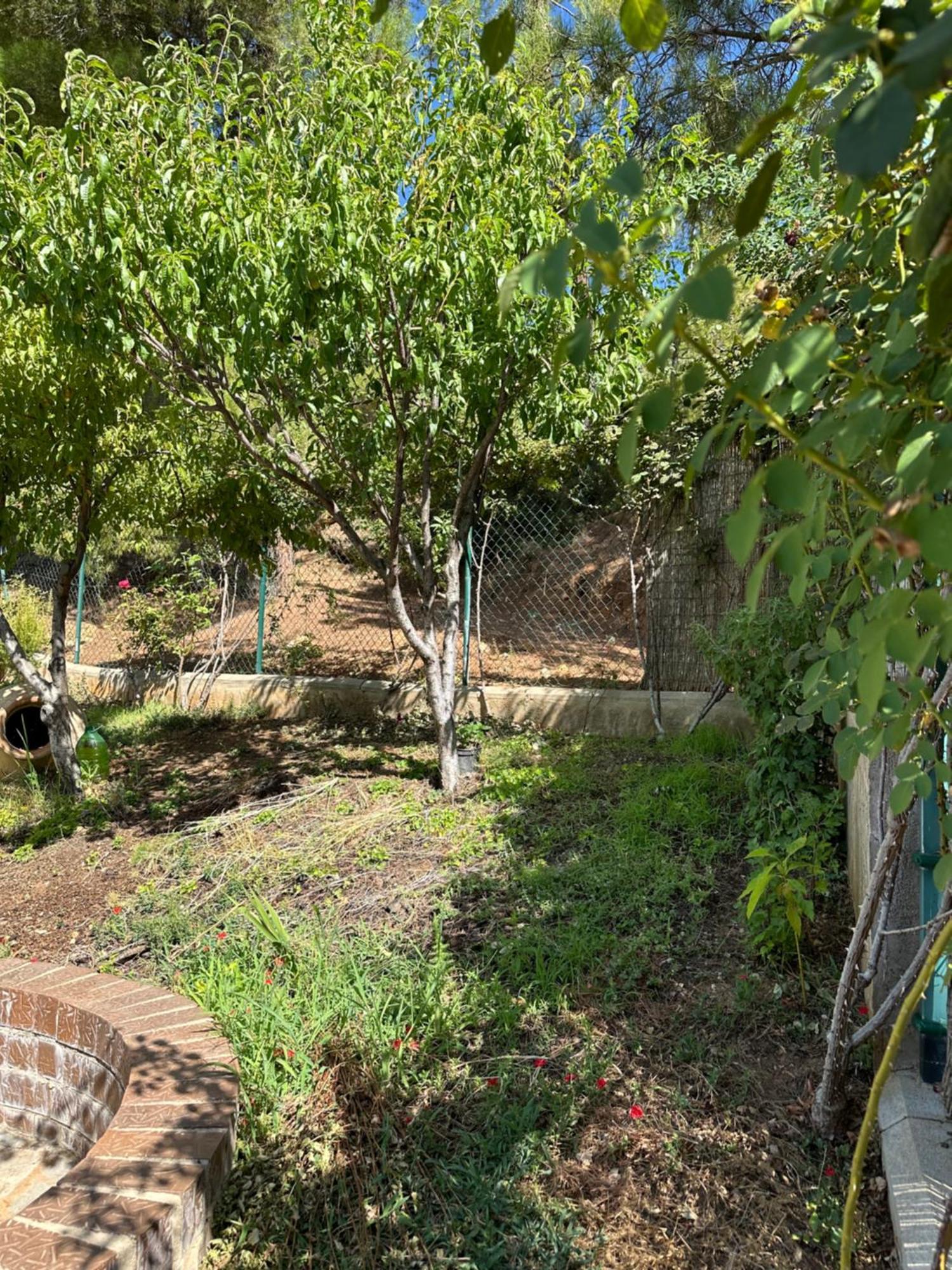 Casas Rurales Cerro Lobo Yeste Ngoại thất bức ảnh